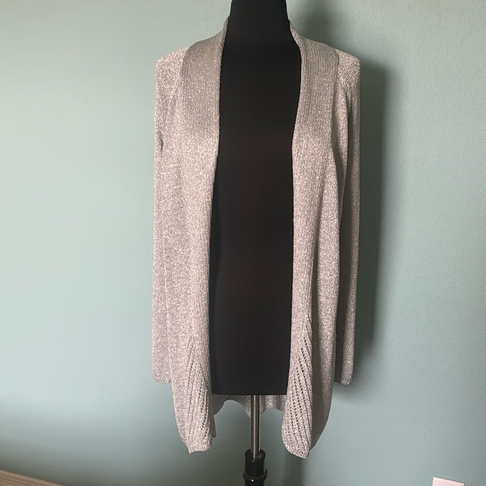 Chicos silver sweater